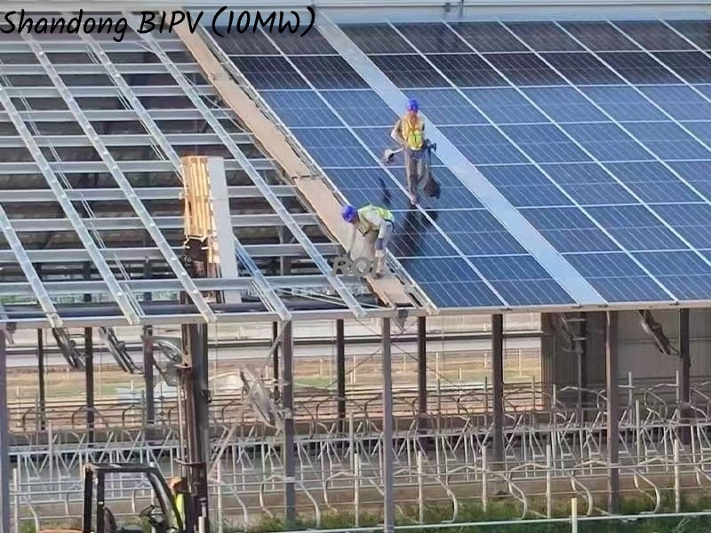 Shandong 10MW BIPV Project